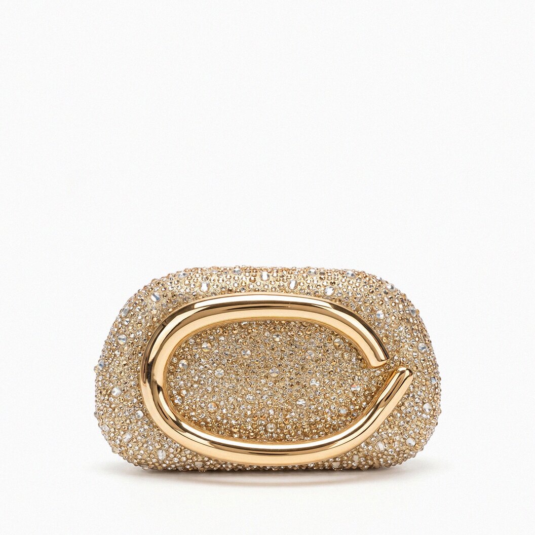 Evelisse Evening Bag